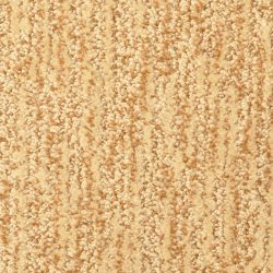 Masland  Mesa Verde Carpet 9519 938