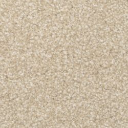 Masland  Beacon Hill Carpet 9527 239
