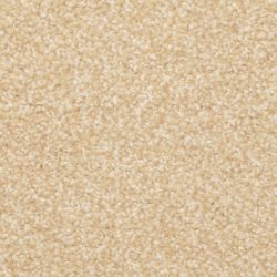 Masland  Beacon Hill Carpet 9527 244