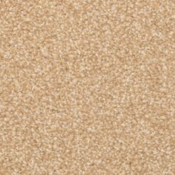 Masland  Beacon Hill Carpet 9527 250