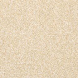 Masland  Beacon Hill Carpet 9527 267