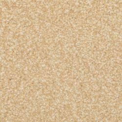 Masland  Beacon Hill Carpet 9527 290