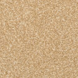 Masland  Beacon Hill Carpet 9527 346