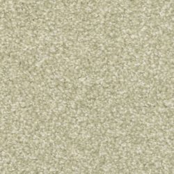 Masland  Beacon Hill Carpet 9527 586