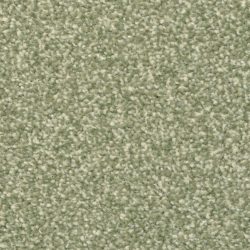 Masland  Beacon Hill Carpet 9527 588