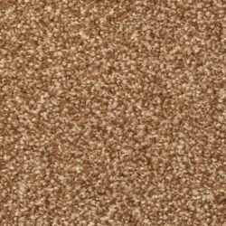 Masland  Beacon Hill Carpet 9527 753