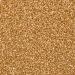 Masland  Beacon Hill Carpet 9527 763
