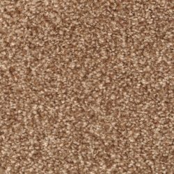 Masland  Beacon Hill Carpet 9527 775
