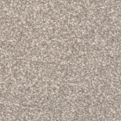 Masland  Beacon Hill Carpet 9527 856