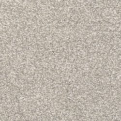 Masland  Beacon Hill Carpet 9527 896