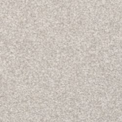 Masland  Beacon Hill Carpet 9527 897