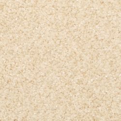 Masland  Opalesque Carpet 9528 209