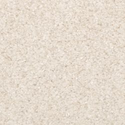 Masland  Opalesque Carpet 9528 229