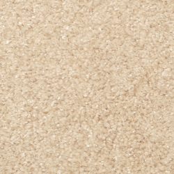 Masland  Opalesque Carpet 9528 238