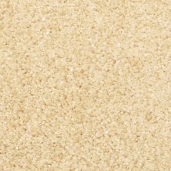 Masland  Opalesque Carpet 9528 440