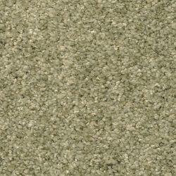 Masland  Opalesque Carpet 9528 549