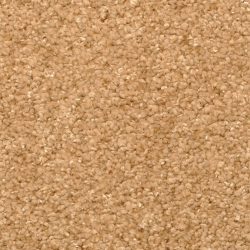 Masland  Opalesque Carpet 9528 708