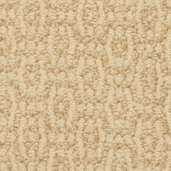 Masland  Crochet Elegance Carpet 9529 225