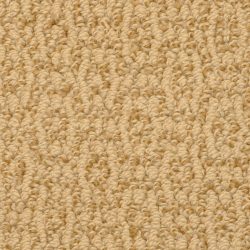 Masland  Crochet Elegance Carpet 9529 432