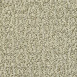 Masland  Crochet Elegance Carpet 9529 546