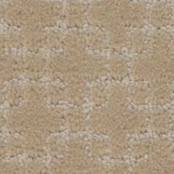 Masland  Entourage Carpet 9531 842