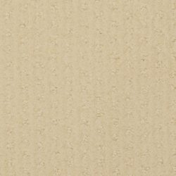 Masland  Pinehurst Carpet 9533 101