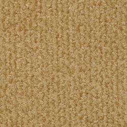 Masland  Pinehurst Carpet 9533 285