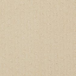 Masland  Pinehurst Carpet 9533 312