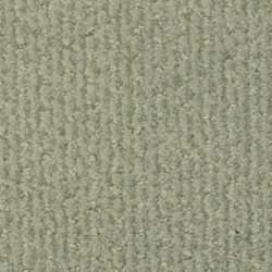 Masland  Pinehurst Carpet 9533 555