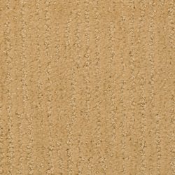 Masland  Natures Essence Carpet 9537 206