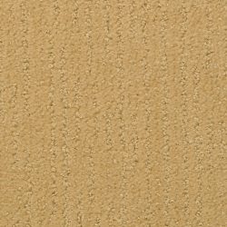 Masland  Natures Essence Carpet 9537 302