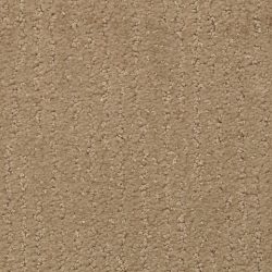 Masland  Natures Essence Carpet 9537 321