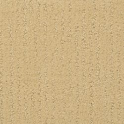 Masland  Natures Essence Carpet 9537 403