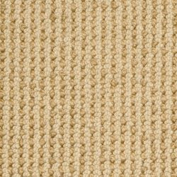Masland  Reverie Carpet 9538 251