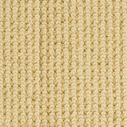 Masland  Reverie Carpet 9538 464