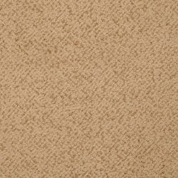 Masland  New Twist Carpet 9539 210