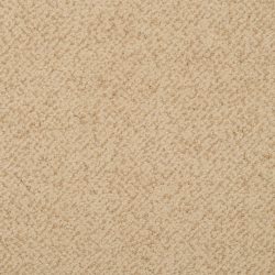 Masland  New Twist Carpet 9539 219