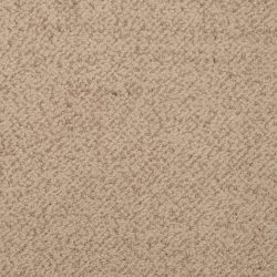 Masland  New Twist Carpet 9539 229