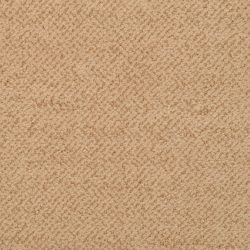 Masland  New Twist Carpet 9539 321