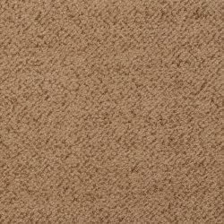Masland  New Twist Carpet 9539 337