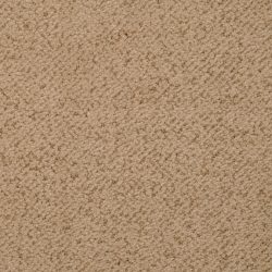 Masland  New Twist Carpet 9539 341