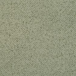 Masland  New Twist Carpet 9539 507