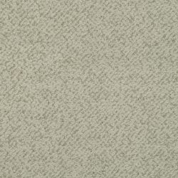 Masland  New Twist Carpet 9539 524