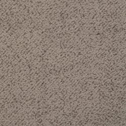 Masland  New Twist Carpet 9539 836