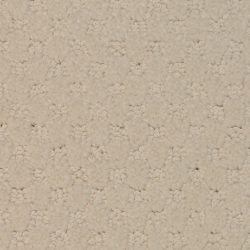 Masland  Southport  Carpet 9540 121