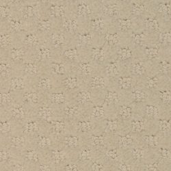 Masland  Southport  Carpet 9540 129