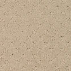 Masland  Southport  Carpet 9540 143