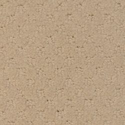 Masland  Southport  Carpet 9540 223