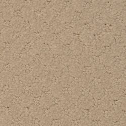 Masland  Southport  Carpet 9540 235