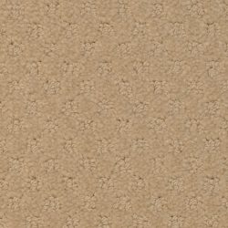 Masland  Southport  Carpet 9540 236